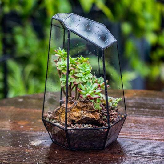 Geometric Glass Terrarium Planter for Succulent, Small Cacti, Black Irregular Opened Container Pot, Indoor Home Garden Office Tabletop Decor, 6.5" X 5.7" X 9.8" (No Plants, No Door)